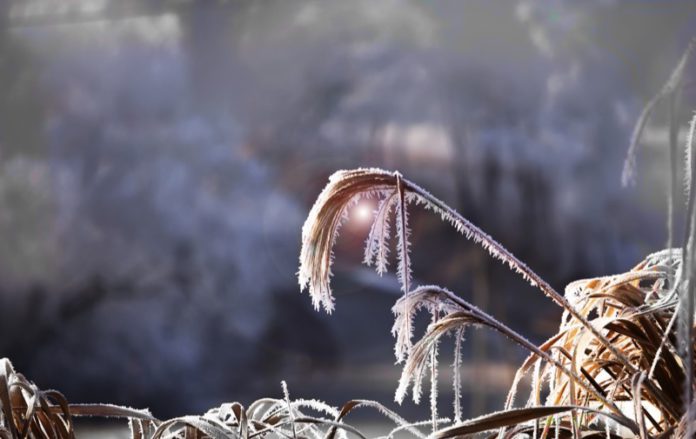 frio oaxaca