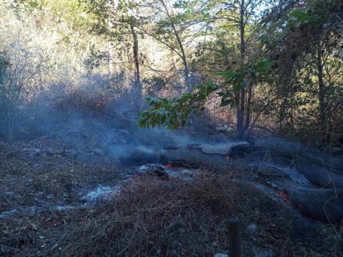 incendios forestales