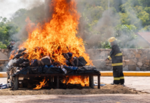 Incineran enervantes en Huatulco; equivalen a 78 mil 704 dosis